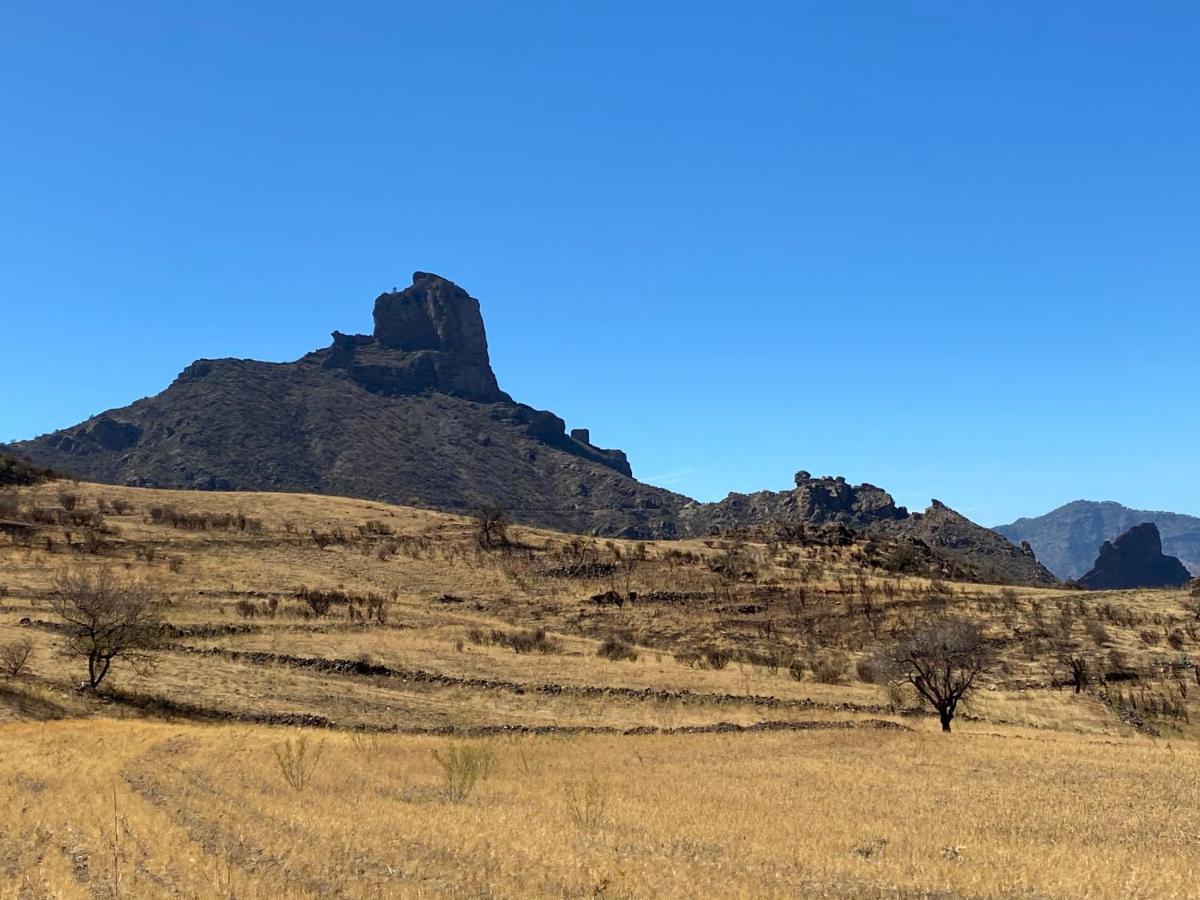 Vacacional La Tea The Best Location And The Best Views Tejeda (Gran Canaria) Exterior foto